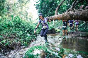 BIB: 
                            <button type="button" onclick="openModal(25447743)" class="btn btn-primary btn-sm float-right btn-popup" data-toggle="modal" data-target=".modal-high-quality">
                        <i class="fas fa-shopping-cart"></i> Add to Cart
                    </button>
                                            <button type="button" onclick="isThisMe(25447743, true)" class="btn btn-success btn-sm float-right btn-popup btn-isme hidden" data-toggle="tooltip" data-placement="bottom" title="นี่คือรูปของคุณใช่ไหม คลิกที่นี่เพื่อเอาเข้าอัลบั้ม">
                        <i class="fas fa-plus"></i> Add to album
                    </button>
                    <button type="button" onclick="isThisMe(25447743, false)" class="btn btn-warning btn-sm float-right btn-popup btn-isnotme hidden">
                        <i class="fas fa-ban"></i> Remove from album
                    </button>